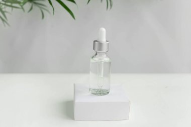 Beyaz bir podyumda yeşil tropikal yapraklı beyaz bir zeminde doğal kozmetik için cam kavanoz. Moda minimalist soyut koleksiyonu. Bir kadının güzelliği. Doğal arkaplan.