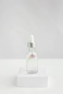 Beyaz bir podyumda, içinde çiçek olan beyaz bir zeminde doğal kozmetik için cam kavanoz. Moda minimalist soyut koleksiyonu. Bir kadının güzelliği. Doğal arkaplan.