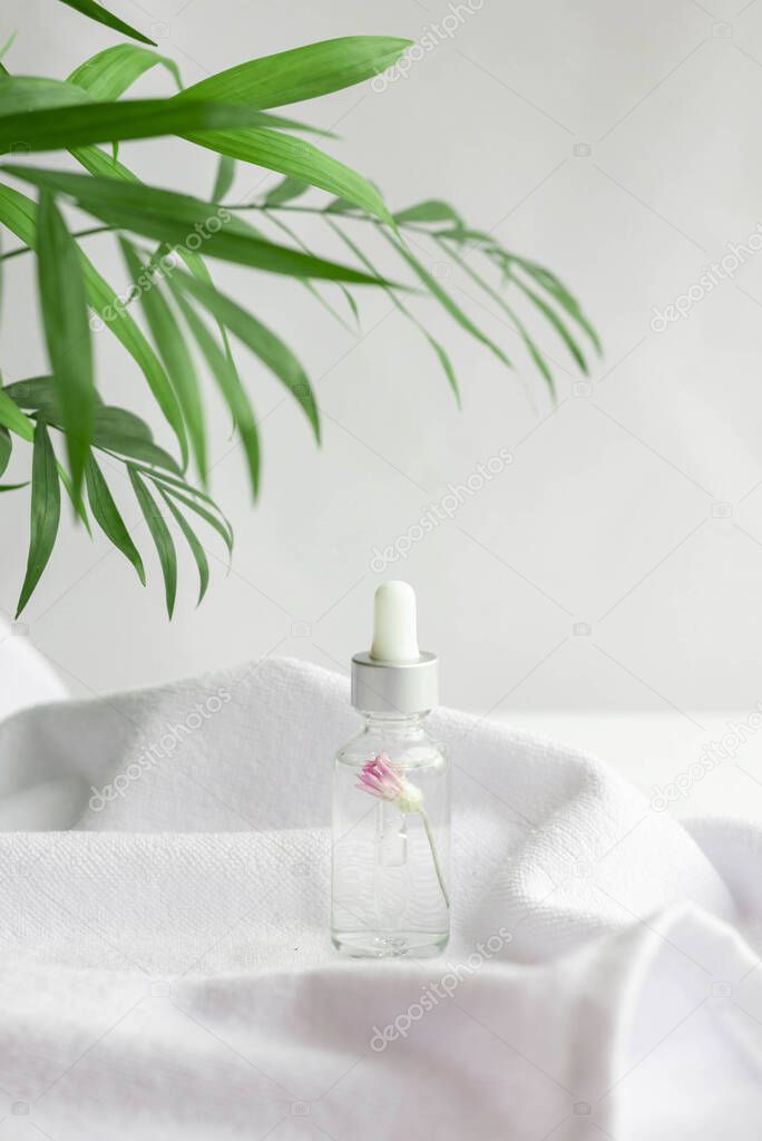 Glass jar for natural cosmetics on a white background on a white towel with green tropical leaves. Trendy minimalistic abstract collection. The beauty of a woman. Natural background.