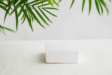 Doğal kozmetik ürünlerinin markalaşması için soyut bir arka plan. Yeşil tropikal yapraklı beyaz bir kutu. Ürün podyumu.
