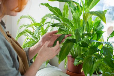 Güzel, genç bir bahçıvan kız evdeki çiçeklerle meşgul. Ev işleri, rahatlık ve güzellik yaratmak, el işi, yaşam tarzı..
