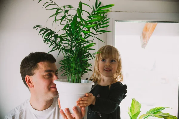 Papà e figlia si stanno divertendo nel giardino di casa, tenendo una pentola marrone con Chamaedorea elegans sullo sfondo di un muro bianco. Concetto di cura delle piante domestiche. Fotografia Stock