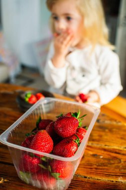Küçük kız sabah kahvaltıda taze olgun çilek yer. Ev bahçesi, sağlıklı yiyecekler, çocuk diyeti..