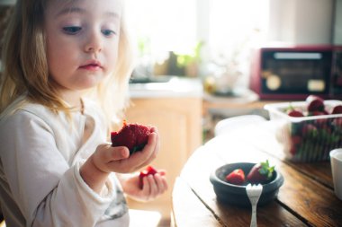 Küçük kız sabah kahvaltıda taze olgun çilek yer. Ev bahçesi, sağlıklı yiyecekler, çocuk diyeti..