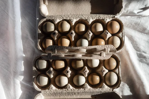 Мисливські фазанські яйця в екологічному паперовому лотку. Птахівництво, тенденція жорстких тіней на сонячному світлі . — стокове фото