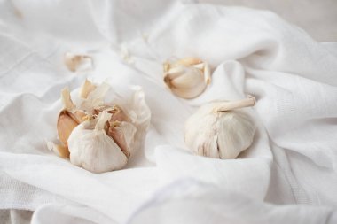 Beyaz bir masa örtüsüne sarımsak yakın plan. Ev bitkisi yetiştirme, yemek pişirme ve baharat. Güneş ışığı ve yükselen sert gölgeler.