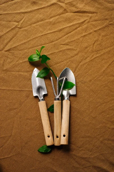Herramientas de jardín para cultivar un jardín casero y un huerto. — Foto de Stock