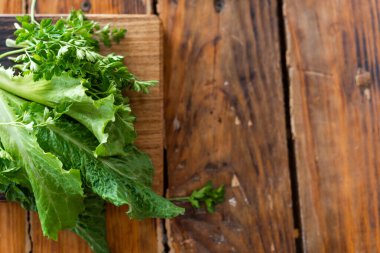 Bahçenizden çevre dostu taze bitkiler. Ev bitkileri, sağlıklı beslenme, vejetaryen yiyecekler..