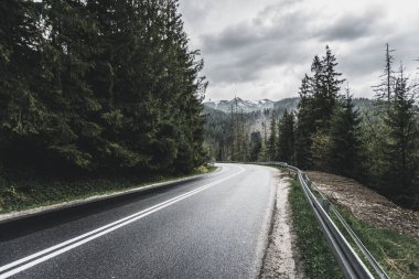 İnanılmaz güzel dağ yolu ağaçların arasında, inanılmaz vahşi yaşam