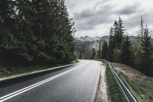 İnanılmaz güzel dağ yolu ağaçların arasında, inanılmaz vahşi yaşam