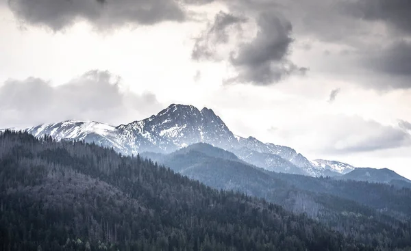 Incrível Vista Das Poderosas Montanhas Cobertas Neve — Fotografia de Stock