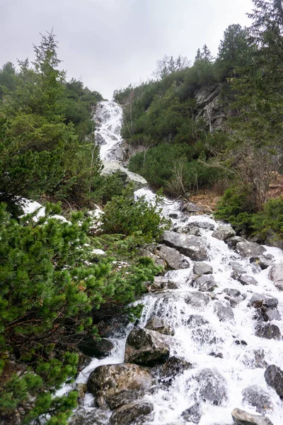 山の川はすぐに石の上に降り — ストック写真