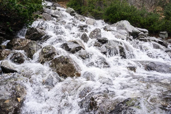 Mountain River Swiftly Descend Stones — Stock Photo, Image