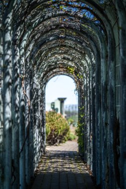 Aşıklar için binanın çatısındaki parkta kemer