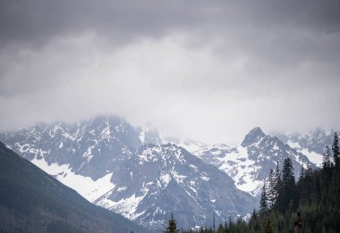 İnanılmaz kar kaplı dağlar, inanılmaz vahşi yaşam manzarası.