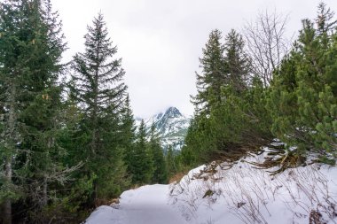 Dağların arasında dağ yürüyüşü patikası