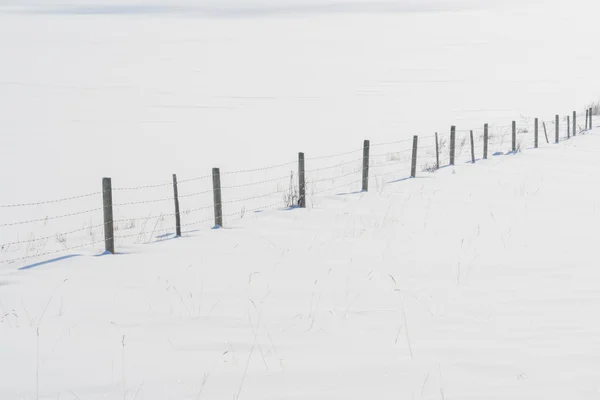 Linea di recinzione nella neve — Foto Stock