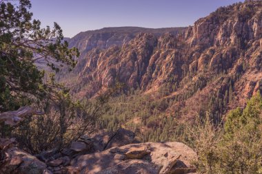 Arizona manzara yürüyüş