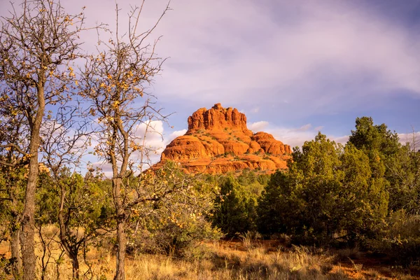 Дерево з рамкою Bell Rock — стокове фото