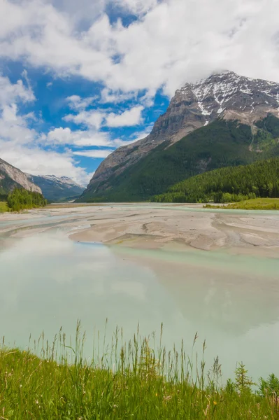 Majestic Mount Stephen landschap — Stockfoto