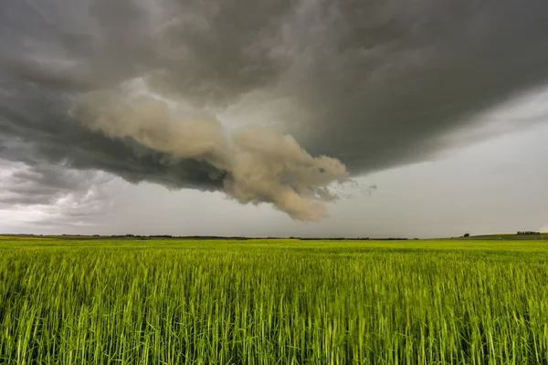 大草原雷雨 — 图库照片