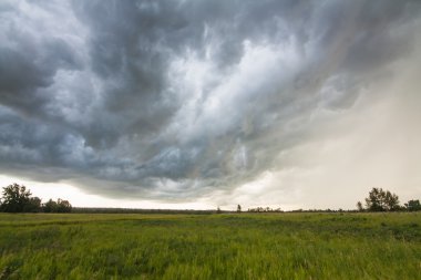 Fırtına balık Creek Park