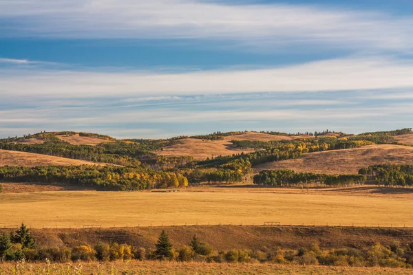 Autumn in the Alberta foothills. — Stock Photo, Image