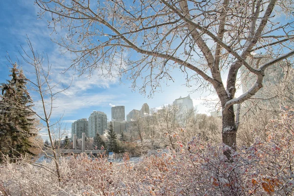 Kışın Calgary Şehir