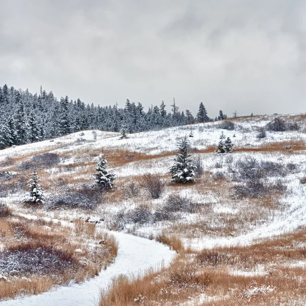 Voie de l'hiver sur une colline — Photo