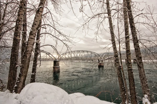 Puente de caballete enmarcado árbol de invierno — Foto de Stock