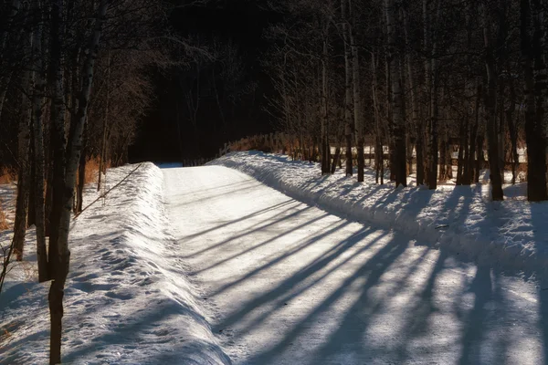 Camino sombrío cubierto de nieve —  Fotos de Stock