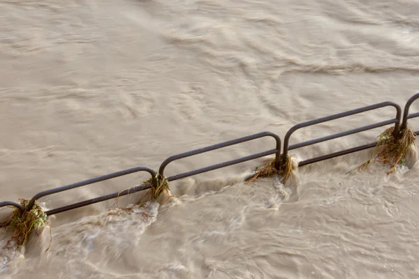 Sentier inondé — Photo