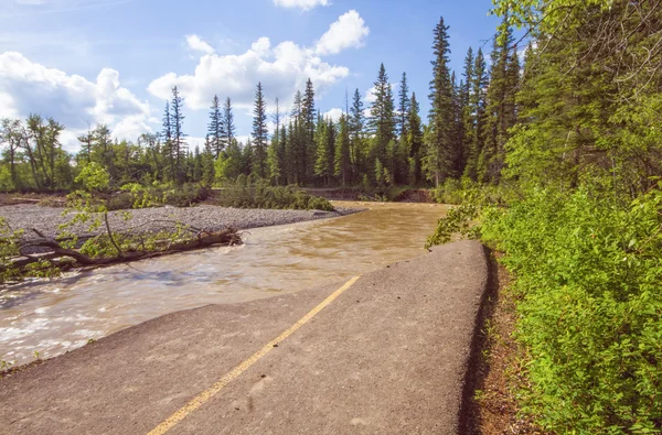Caminho destruído em Calgary Flood — Fotografia de Stock