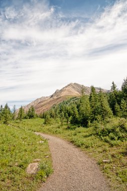 Rocky Dağları'nda yolu