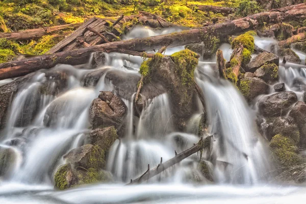 Chute d'eau sur la mousse et le bois mort — Photo