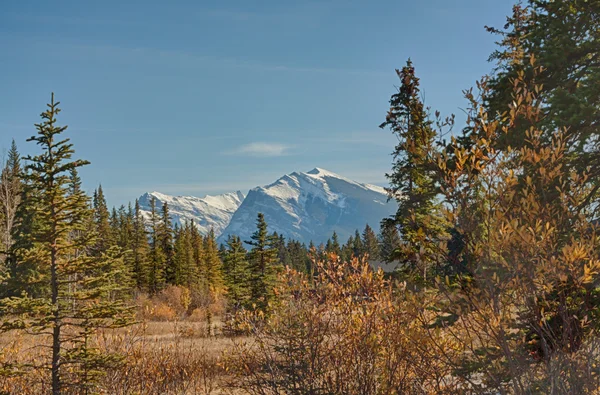 Kananaskis őszi táj — Stock Fotó