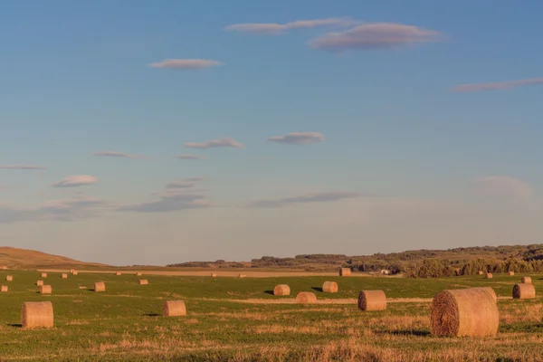 Warm Hay Bale Landscape — Stock Photo, Image