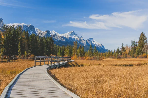 Autumn Boardwalk — Stock Photo, Image