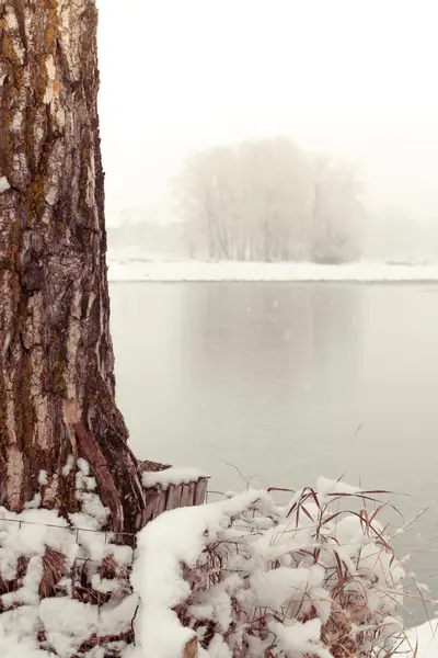 Sneeuwt langs de rivier Bow — Stockfoto
