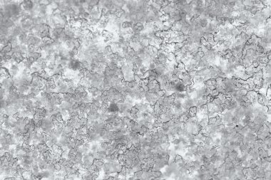 Karlı ön cama yakın çekim