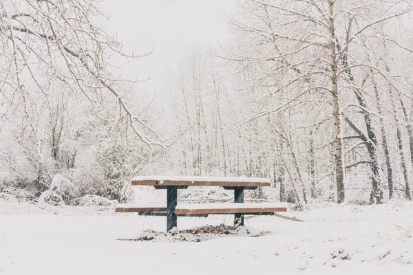 Picnic de invierno blanco —  Fotos de Stock