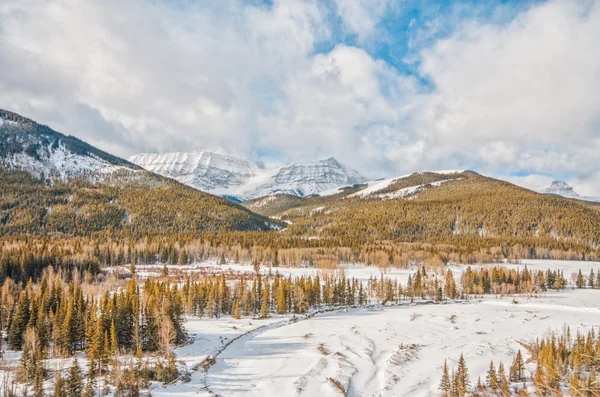 Mountain Winter Landscape — Stock Photo, Image