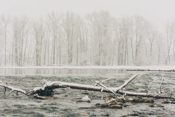 Tormenta de invierno en el río Bow —  Fotos de Stock