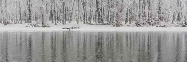 Reflexiones panorámicas de árboles de invierno helados — Foto de Stock