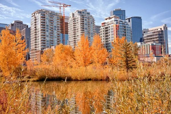 Autumn Calgary Cityscape — Stock Photo, Image