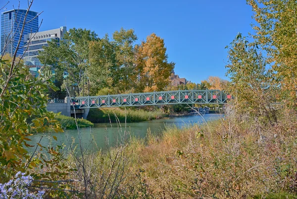 Bridge in Prince's Island Park — Stock Photo, Image