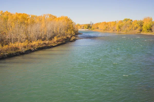 Autumn Along the Bow River — 스톡 사진