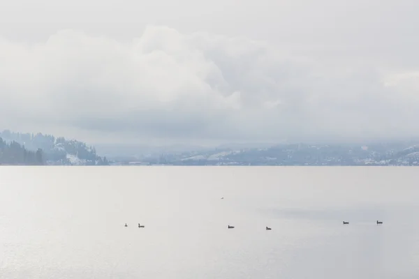 雾湖 — 图库照片