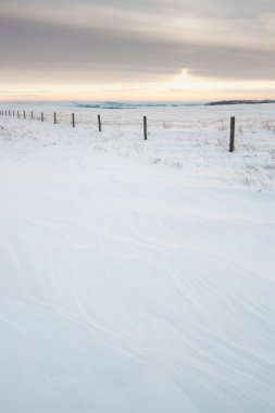 Textured Snow Landscape clipart