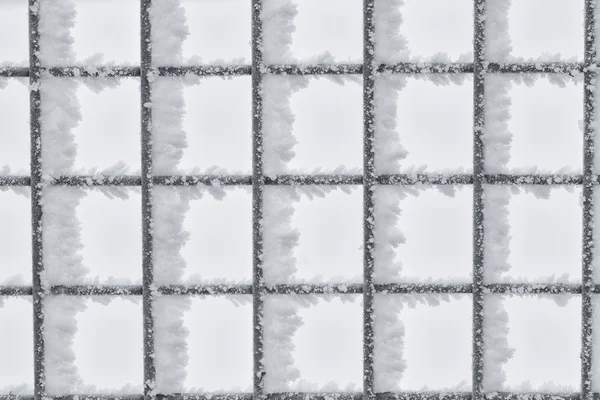 Hoar Frost på Wire staket — Stockfoto